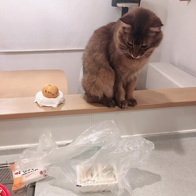 Yumiさんの実例写真