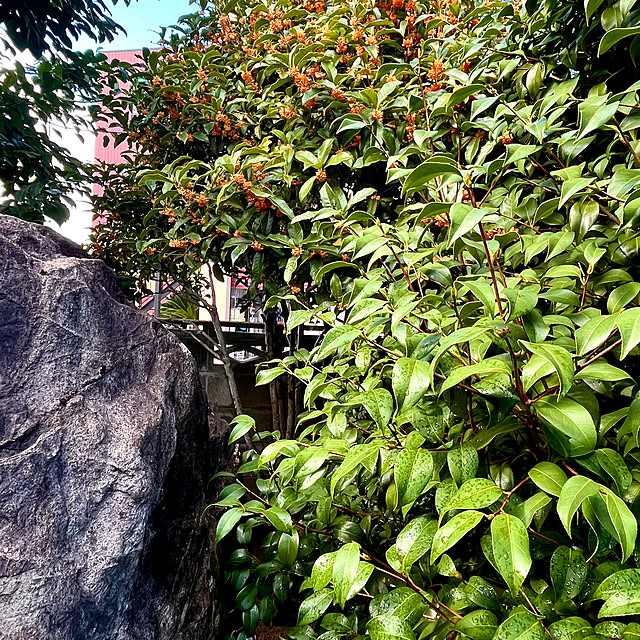 yottanさんの部屋