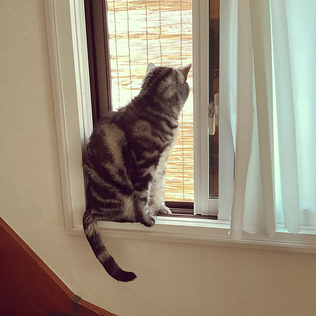 richanさんの部屋