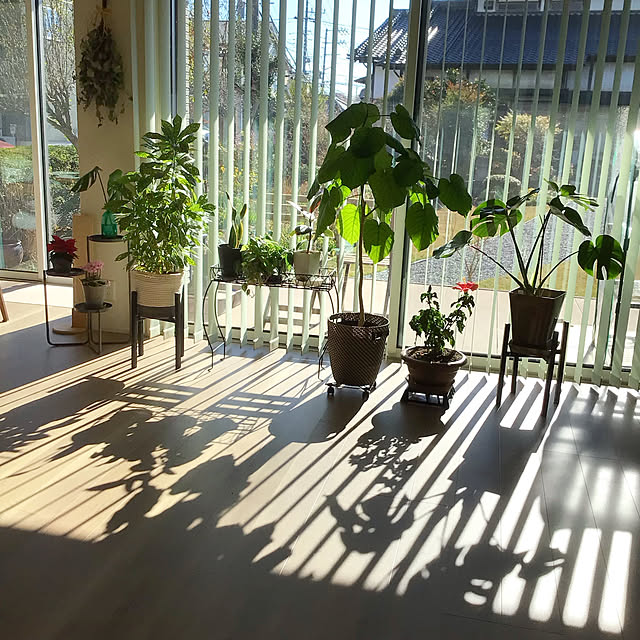 houenさんの実例写真