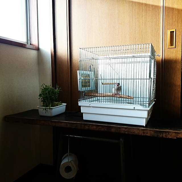 bunchoさんの実例写真