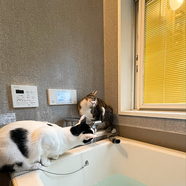 nobikoさんの実例写真