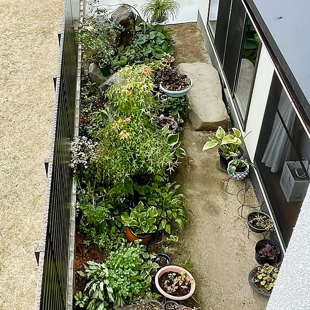 buchiさんの実例写真