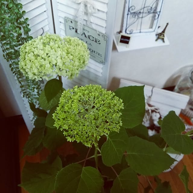 a.roseさんの実例写真