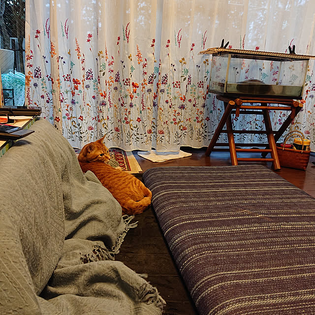 okyosan101さんの実例写真