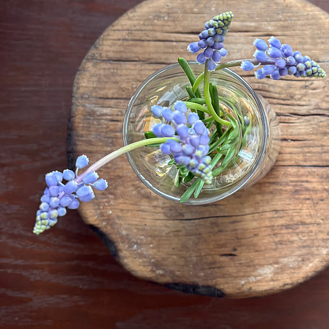 nana77さんの部屋