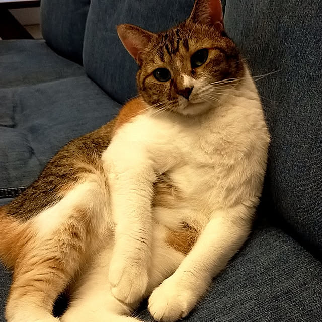 nnk.akさんの実例写真