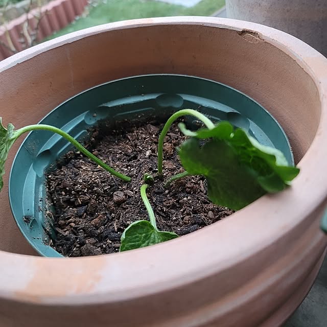 VIORAさんの実例写真