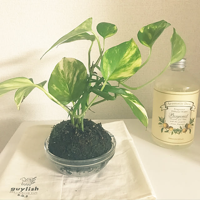 Manaさんの実例写真
