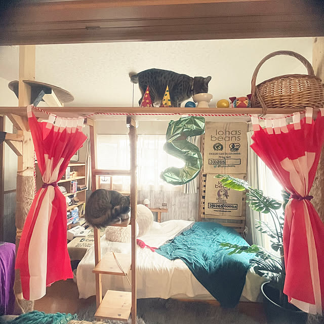 Mさんの実例写真
