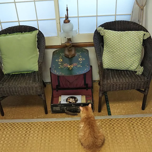 gabさんの実例写真