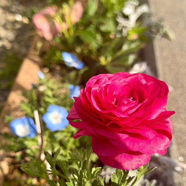 ma...さんの実例写真