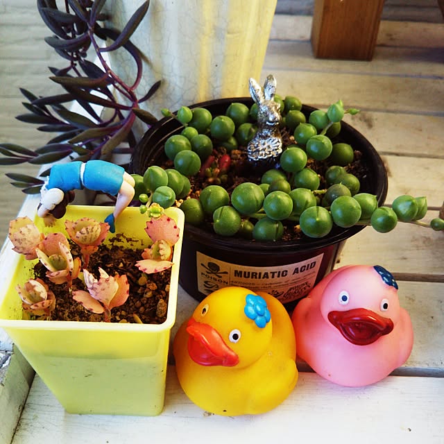 kanaさんの実例写真