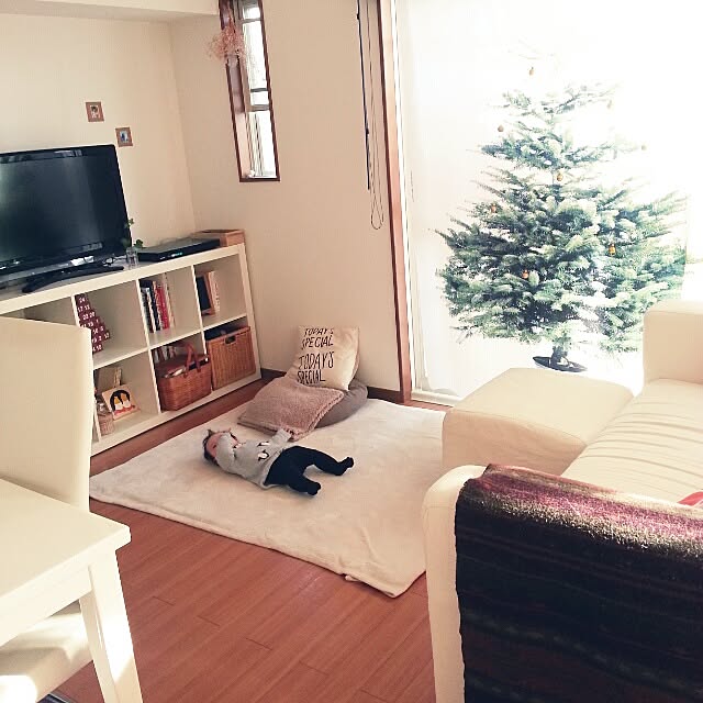 eriさんの実例写真