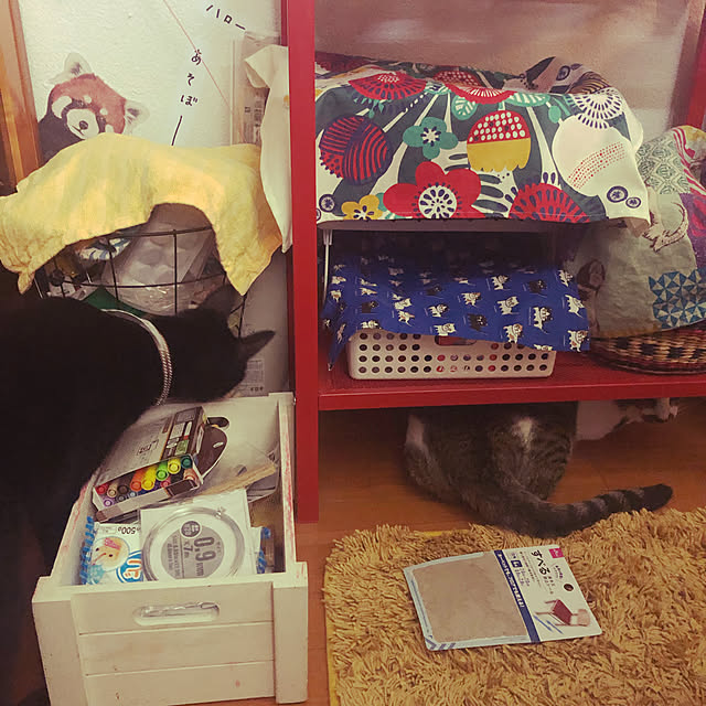 jijiさんの実例写真