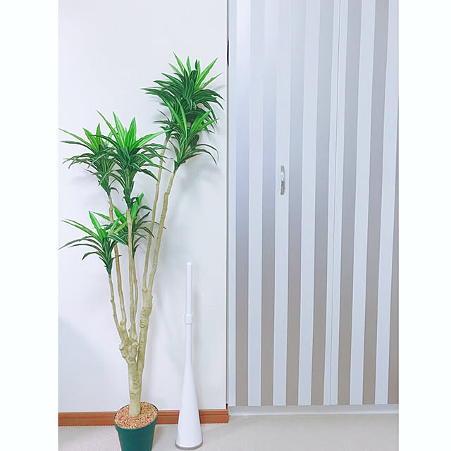 marronsnowさんの実例写真