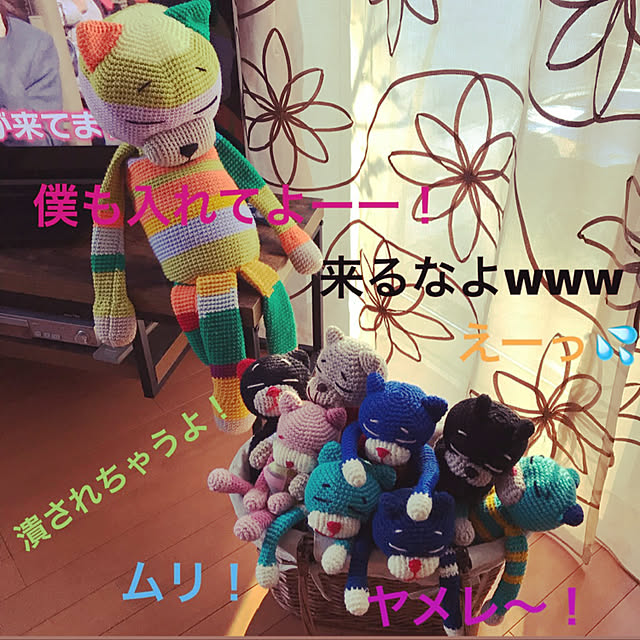 Yokoさんの実例写真