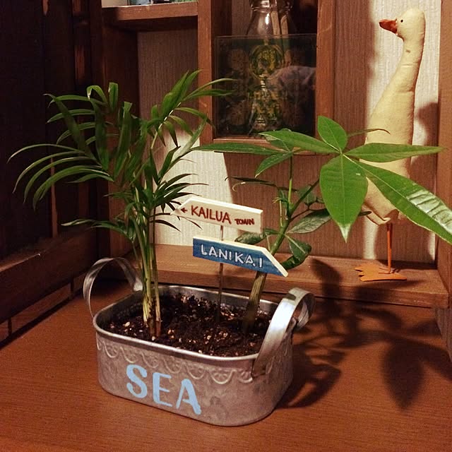 Kyoichiさんの実例写真