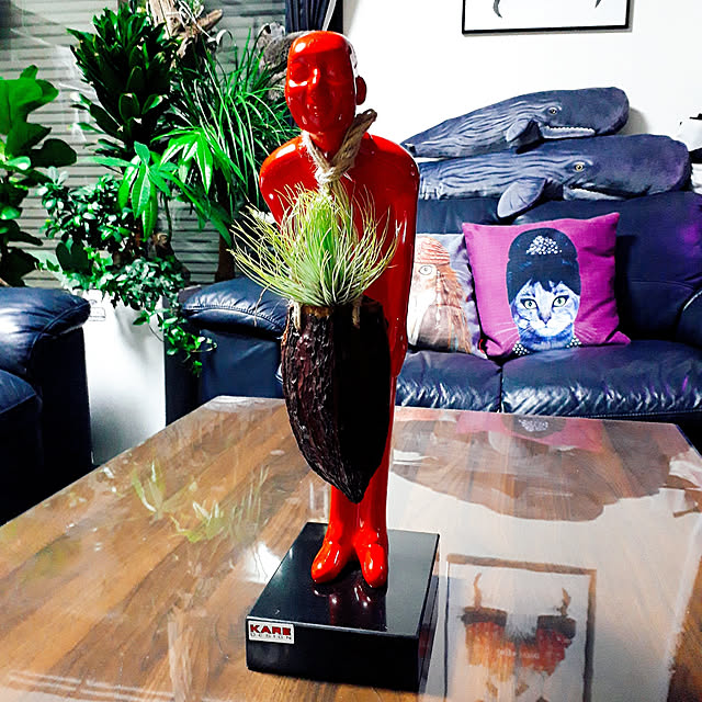tomoさんの実例写真