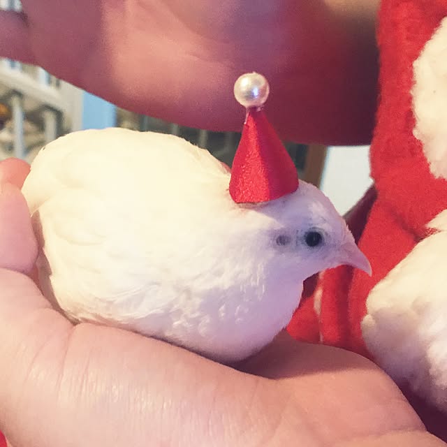 makiさんの実例写真