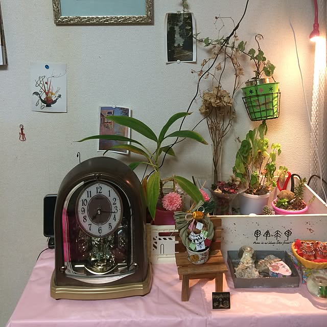horurunさんの実例写真