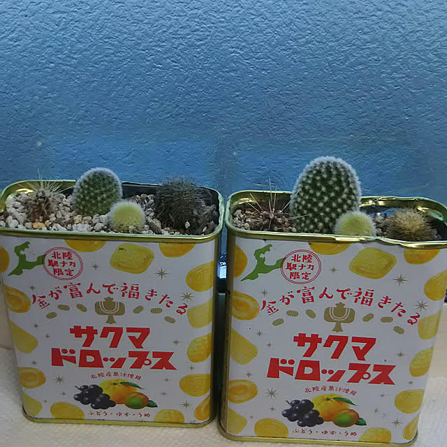 sayaさんの実例写真