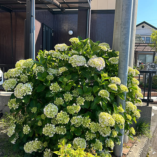 ritsukoさんの部屋