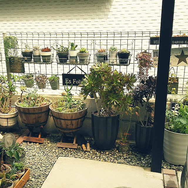 Esさんの実例写真