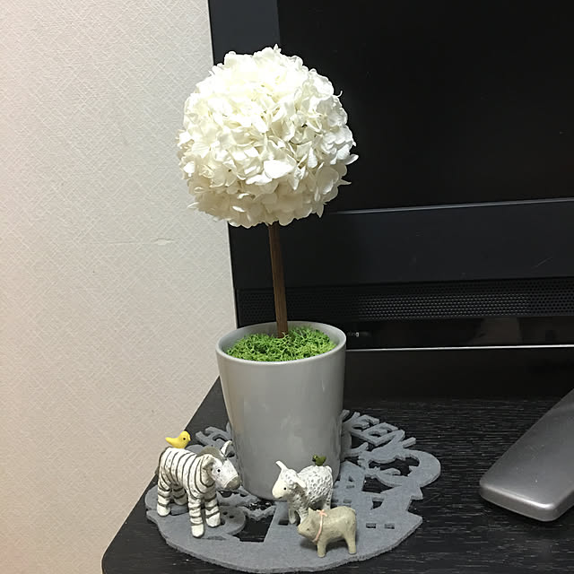 実例写真