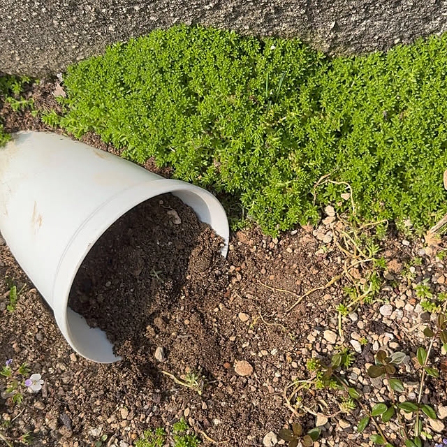 mayumiさんの部屋