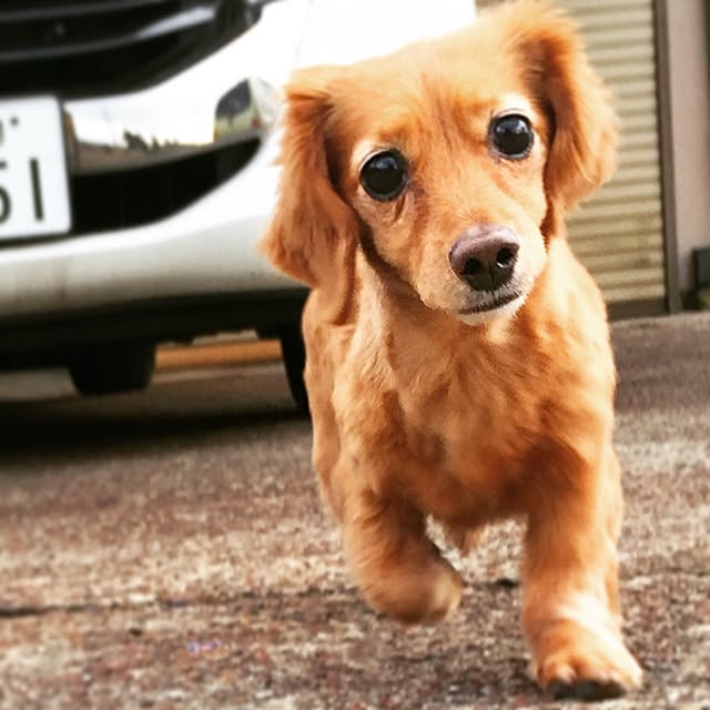 sakuさんの実例写真