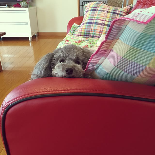 mom39さんの実例写真