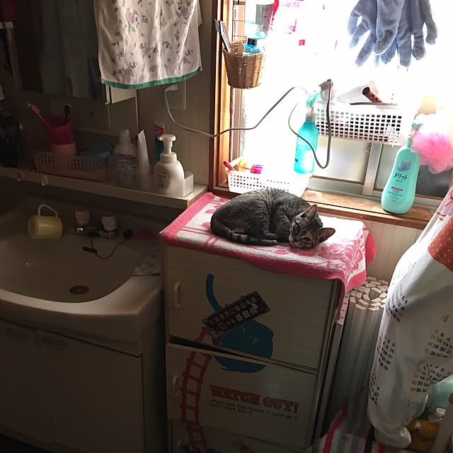 Yoshieさんの実例写真