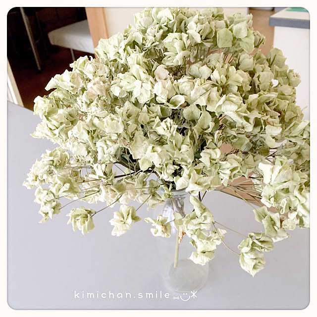 kimichan.smileさんの実例写真