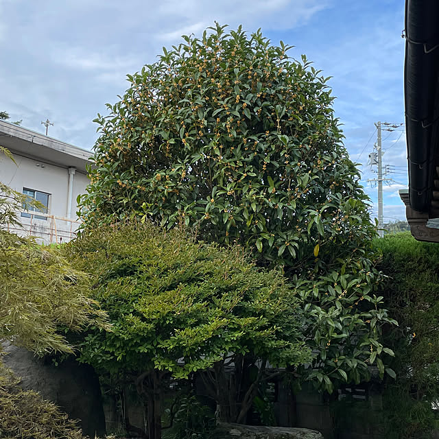 shin0719さんの実例写真