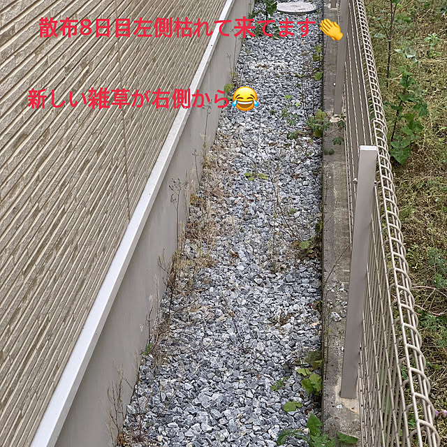 makoさんの実例写真