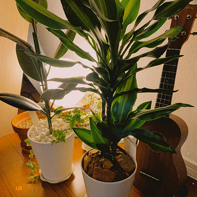 dreamの-ルームライト オシャレ かわいい　シンプル ボール型 ランプ 25cm LED電球対応 照明 ボールランプ ルームランプ テーブルランプ モダン ルームライト フットライト フットランプ ベッドサイド ランプ 丸型 円形 ライト 送料無料の家具・インテリア写真