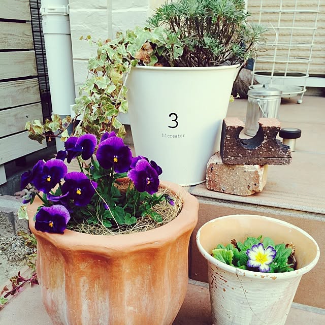 naberiさんの部屋
