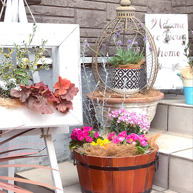 寄せ植え 黒い鉢のおすすめ商品とおしゃれな実例 | RoomClip 寄せ植え 黒い鉢のおすすめ商品とおしゃれな実例 | RoomClip