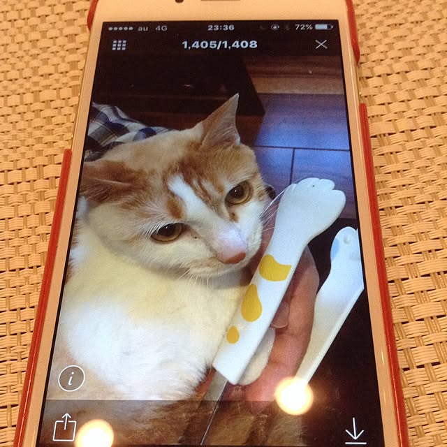 chikaさんの実例写真