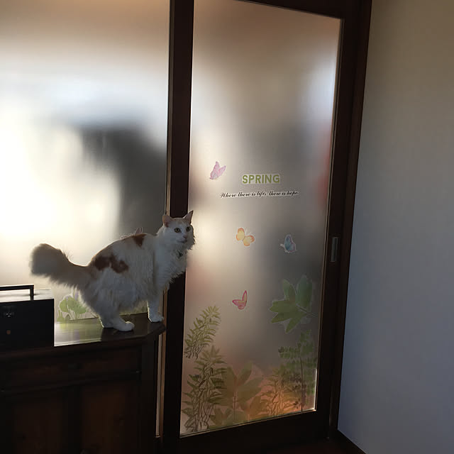 shigimiさんの実例写真