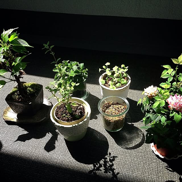 rukaさんの実例写真