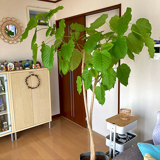 65-24oxoさんの実例写真