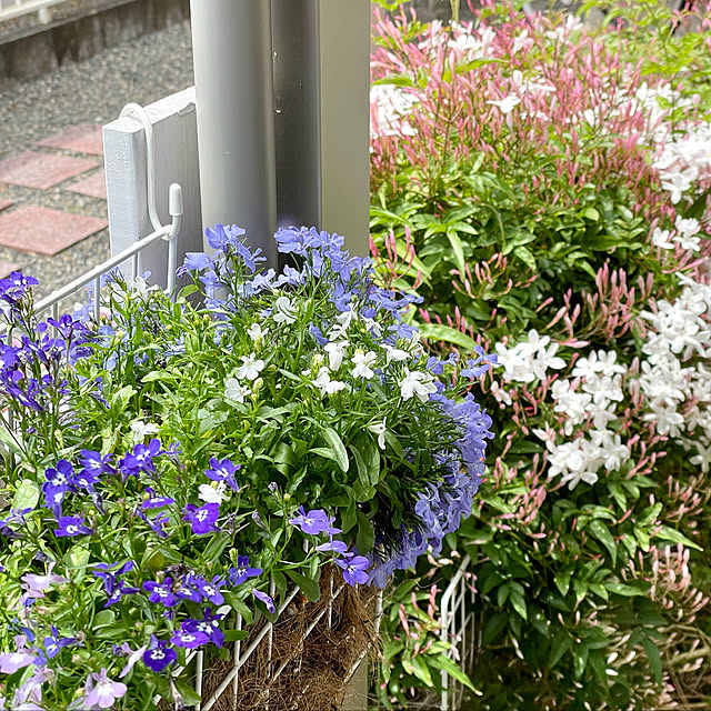 asako.10さんの実例写真