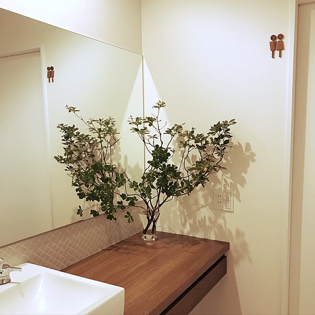 junk2さんの実例写真