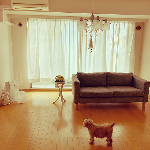 ppkccaさんの実例写真