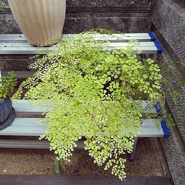 25Moondropsさんの実例写真