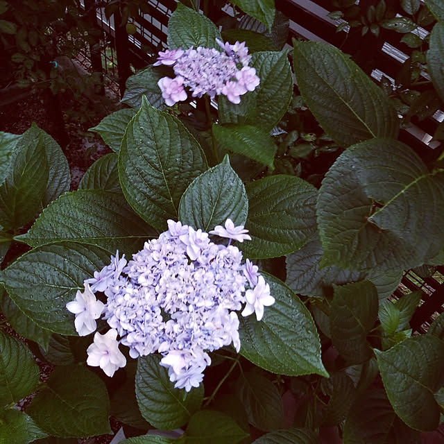 mimi828さんの実例写真