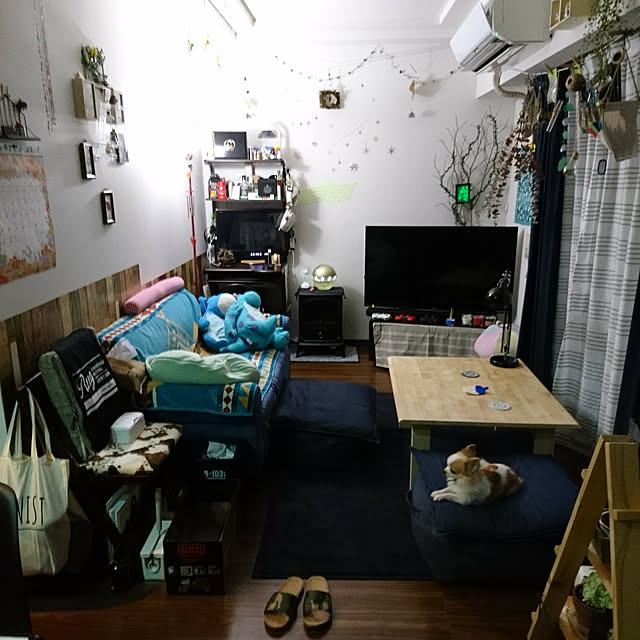 porinさんの実例写真