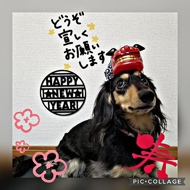 momozouさんの実例写真